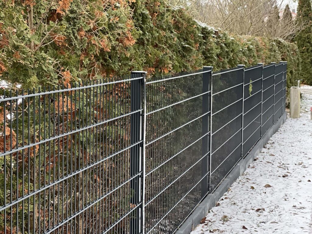 Metallzaun vor grüner Hecke im Winter